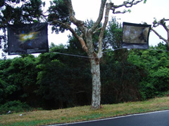 FETTU exhibit in The Azores