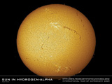 Sun in Hydrogen Alpha Thumbnail